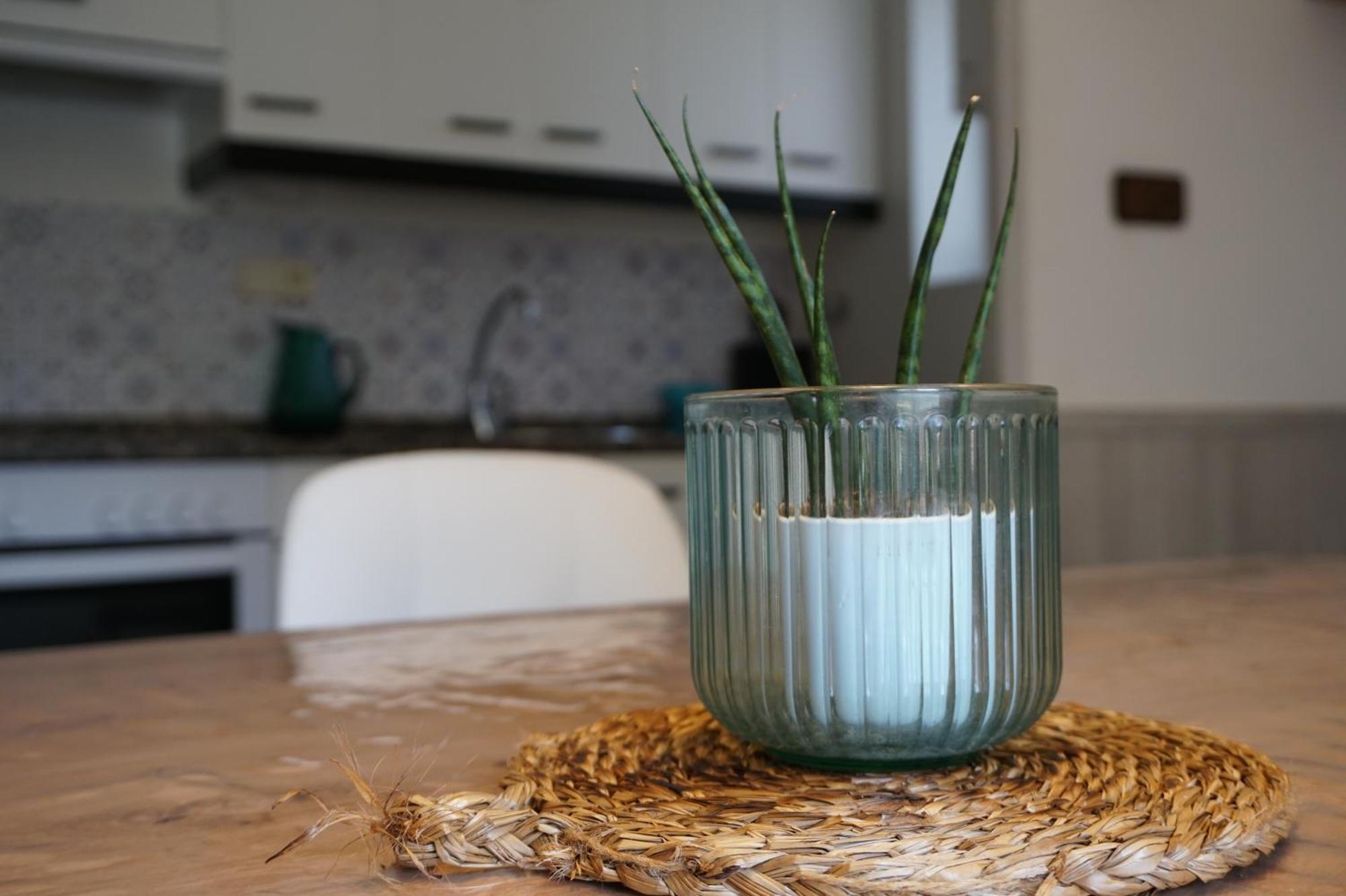 فيلا Cirjuana, Casa En El Centro Con Agradable Jardin Y Barbacoa By Pirineos 360 بييسكاس المظهر الخارجي الصورة